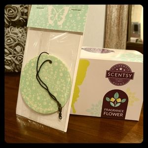 Scentsy Bundle